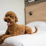 Park By Radisson Airport & Conference Centre 4*