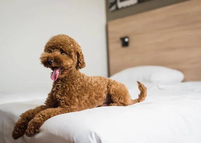 Park By Radisson Airport & Conference Centre 4*