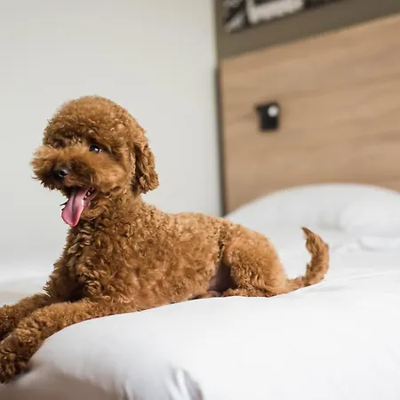 Park By Radisson Airport & Conference Centre 4*